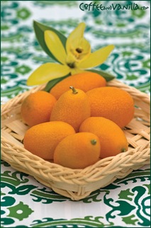 kumquats-1