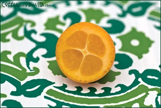kumquats-2