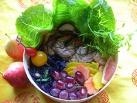 bento-bird-3