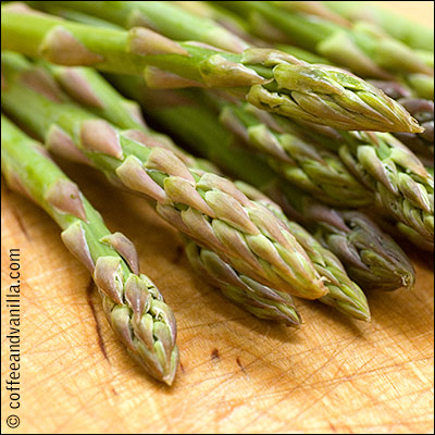 what is asparagus
