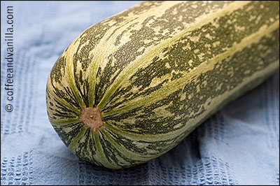 whole marrow squash Cucurbita
