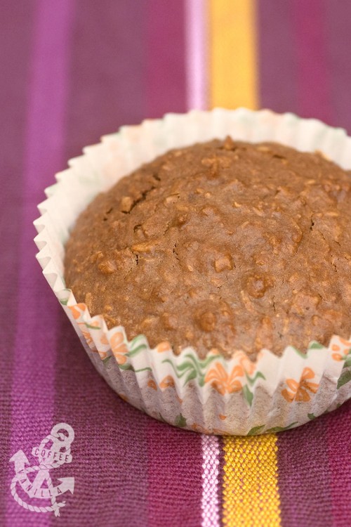 chocolate and dessicated coconut cakes with oats