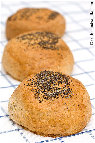 quick 1 hour bread roll recipe