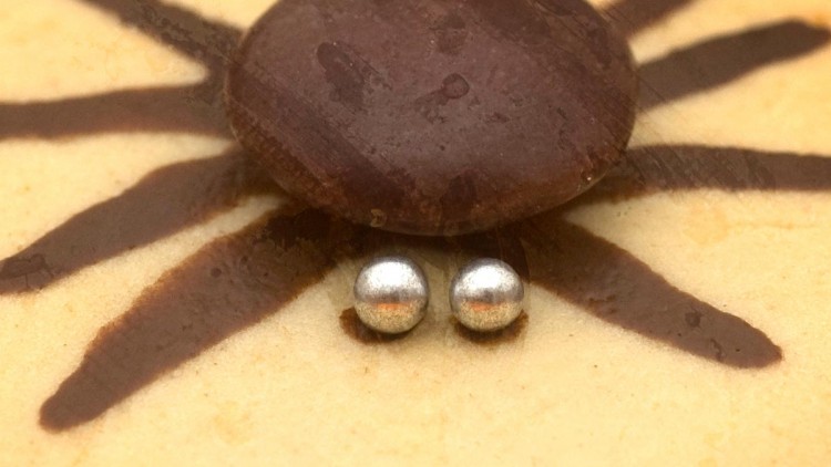 Halloween Chocolate Spider Cookies / Vanilla Cut-out Cookies