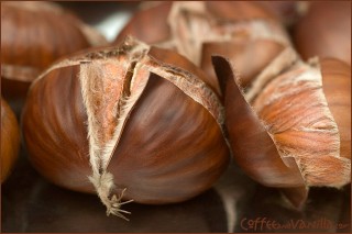 chestnuts-3