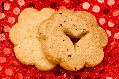 spiced Christmas cookies