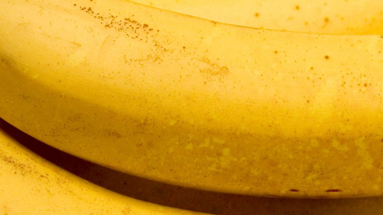 Foolproof Banana & Nut Bread