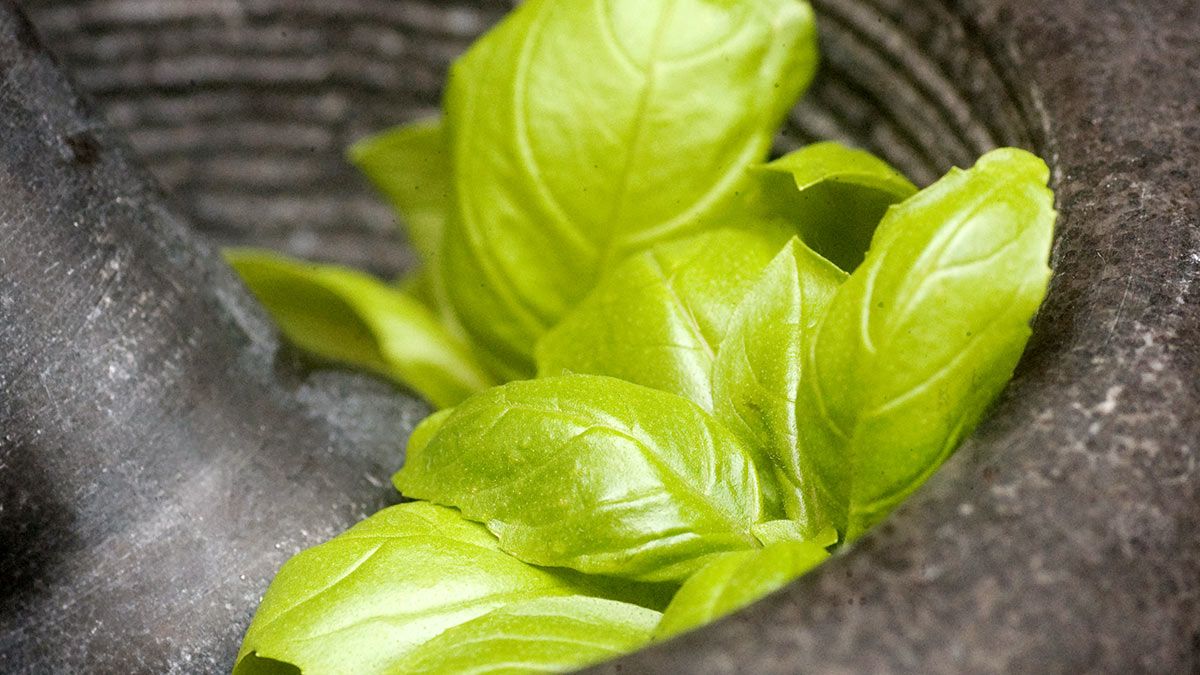 Weekend Herb Blogging # 130 – The Round-up