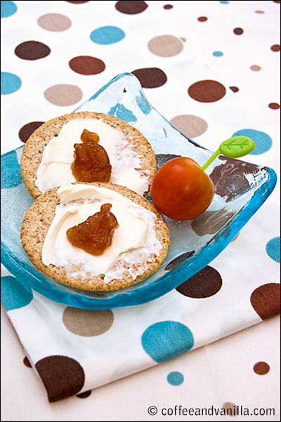red onion chutney on cream cheese and crackers and other party snack ideas
