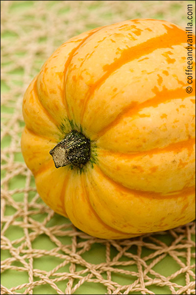 squash types and varieties