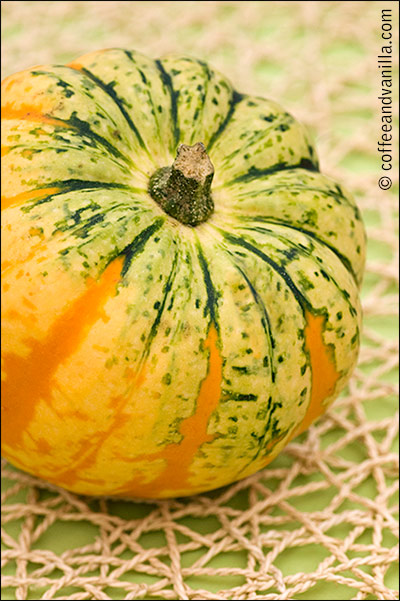 gem squash, spaghetti squash, butternut, marrow, zucchini and Buddha hand squash