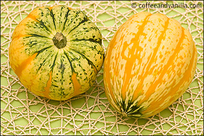 acorn shaped winter squash green and yellow