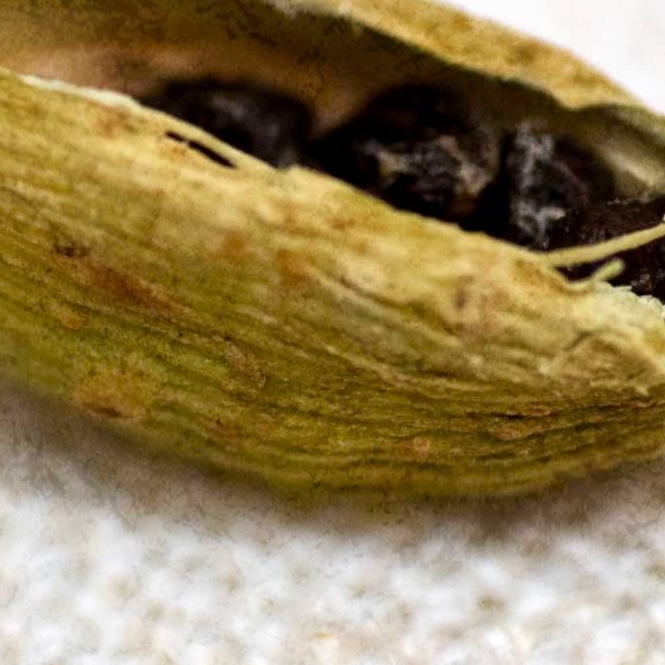 Cardamom Pods » Coffee & Vanilla