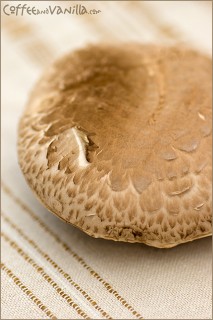 portobello-mushrooms-1