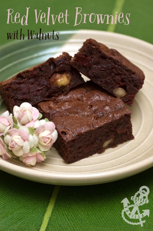 chocolate and pecan beetroot brownies recipe