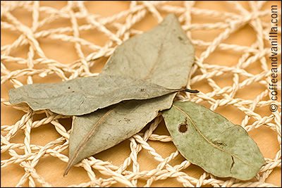 dried pimento allspice leaves for jerk chicken