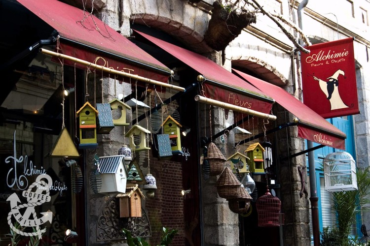 lille france shopping Alchimie florist plant store bird cages for sale