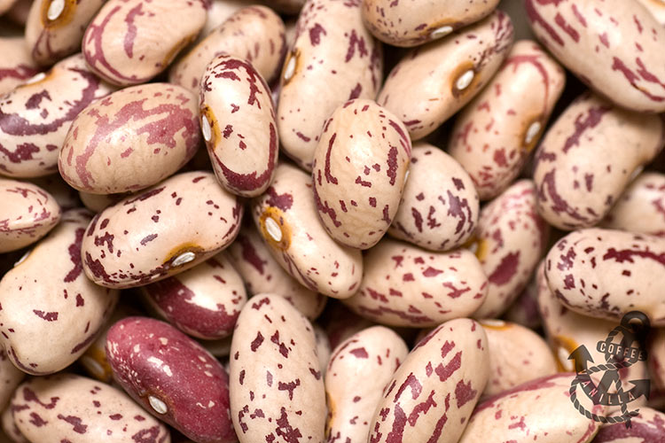 Crab eye beans, Rose-coco beans, Shell beans