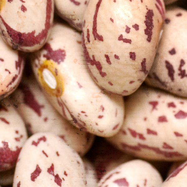 Crab's Eye Beans » Coffee & Vanilla