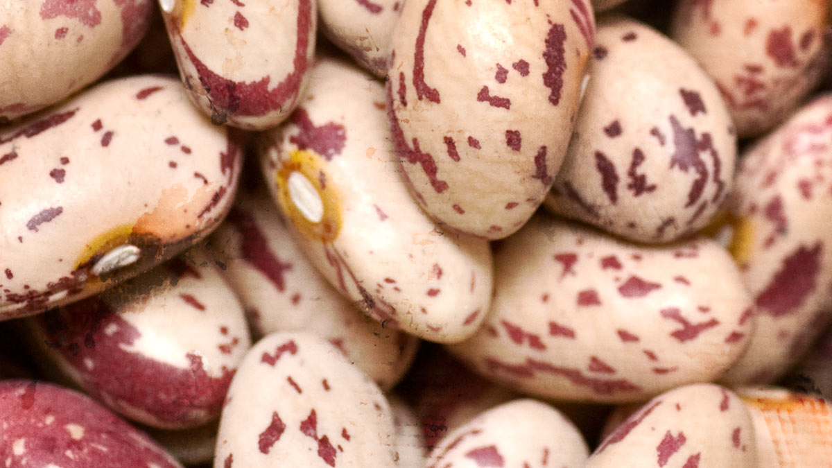 Crab's Eye Beans » Coffee & Vanilla