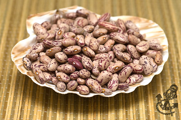 Cranberry beans, Borlotti beans, Saluggia beans, Roman beans