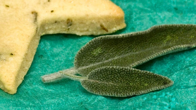 Savoury Biscuits with Rosemary, Thyme & Sage