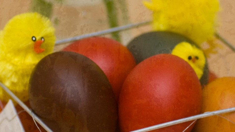 Happy Easter & Spring! Plus Natural Egg Colourant Ideas.