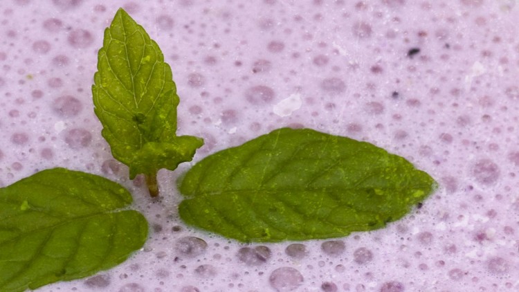 Sugar-Free Minty Blueberry Milkshake