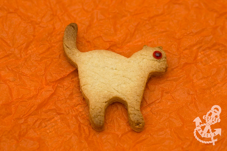 cat cookies