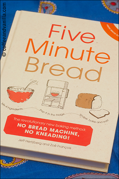 Five Minute Bread book review