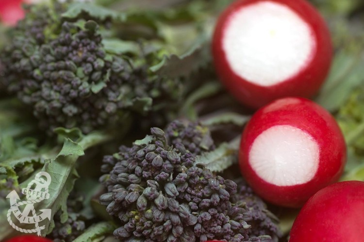 steamed broccoli radishes