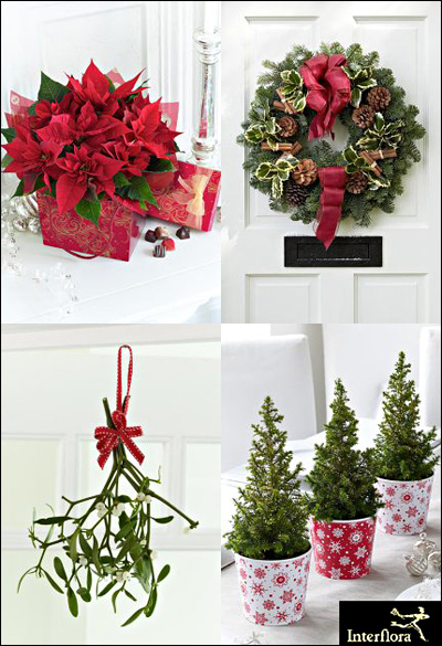 Christmas wreath mistletoe poinsettia