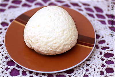 Polish white cheese - ser bialy