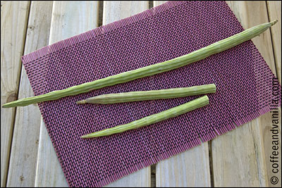 Indian long green vegetable similar to okra