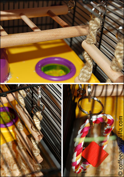 hamster toy hanging bridge ladder ring gnawing string