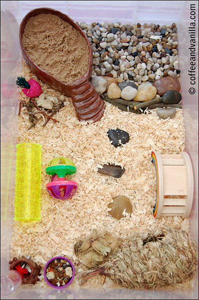 hamster playground with sandpit pebbles water bottle stand straw house
