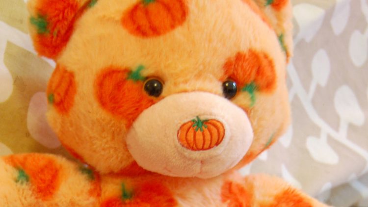 Halloween Pumpkin Pal Teddy from Build-A-Bear Workshop