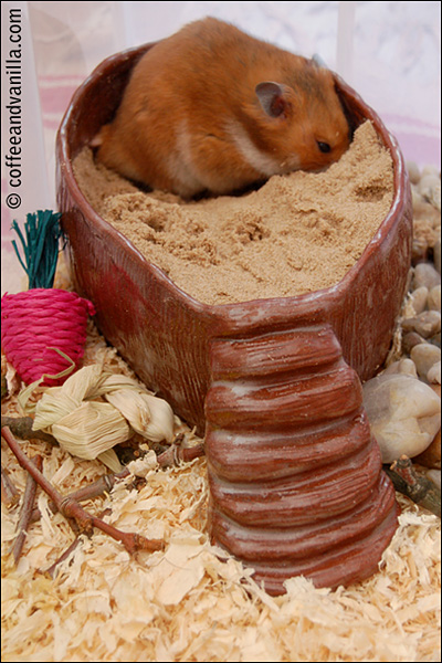 terracotta clay sand bathtub