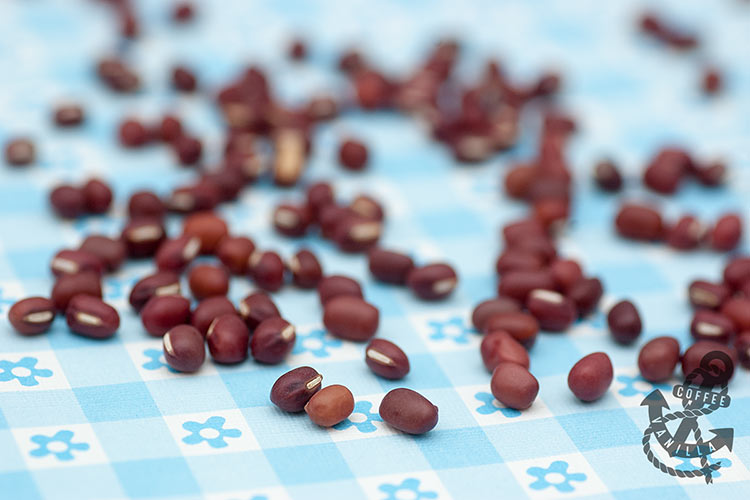 aduki beans