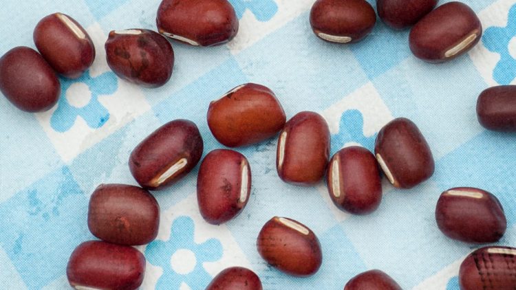 Adzuki Also Called Azuki or Aduki Beans