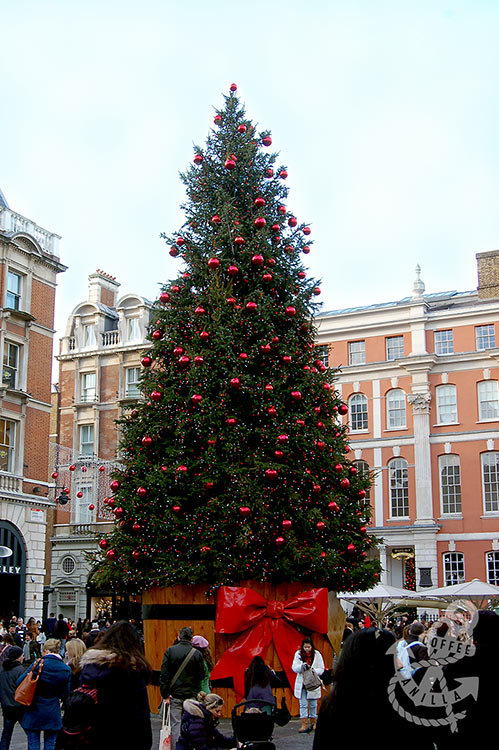 huge Christmas tree with red bow