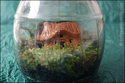 magical miniature garden