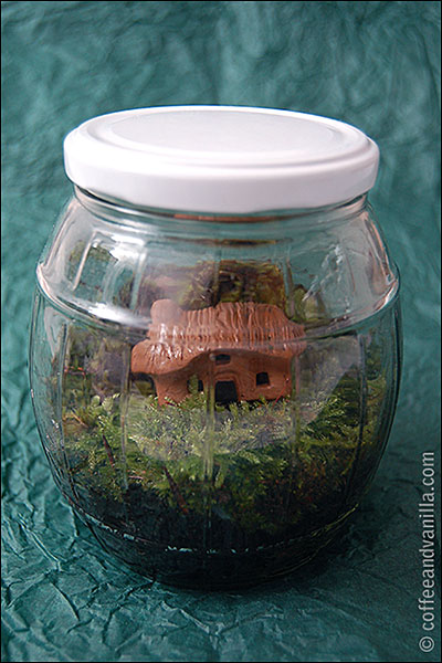 how to make garden in a jar