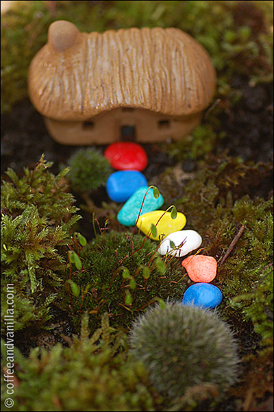 miniature garden in a fish bowl