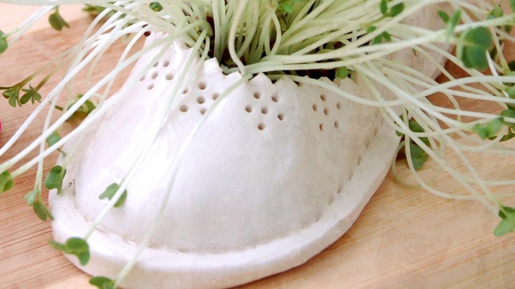 Cress –  Easter Table Decoration