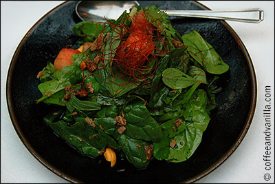 sweet and salty watermelon salad with duck, cashew nuts, herbs