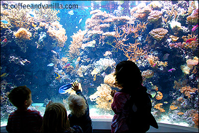 aquariums in London