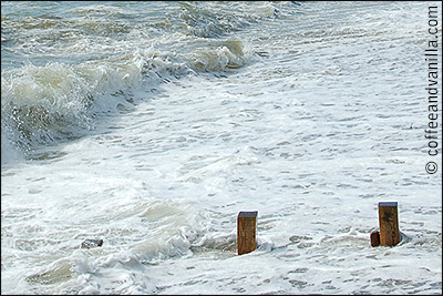 seaside in autumn