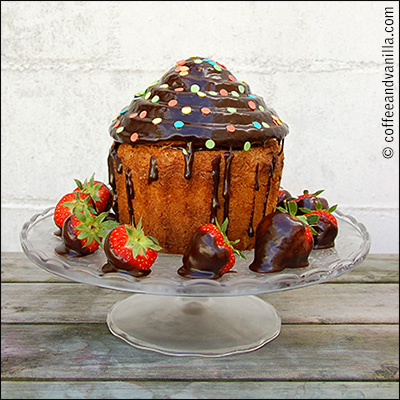 chocolate cake with confetti sprinkles