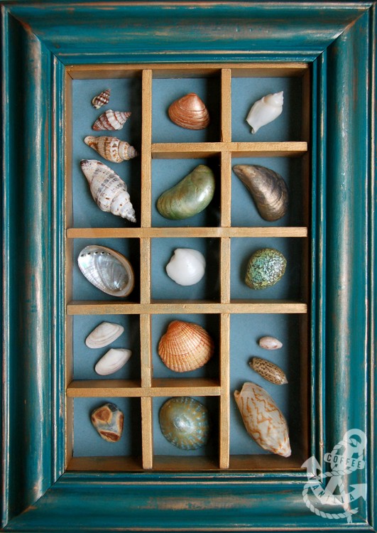 aged teal box frame with shells